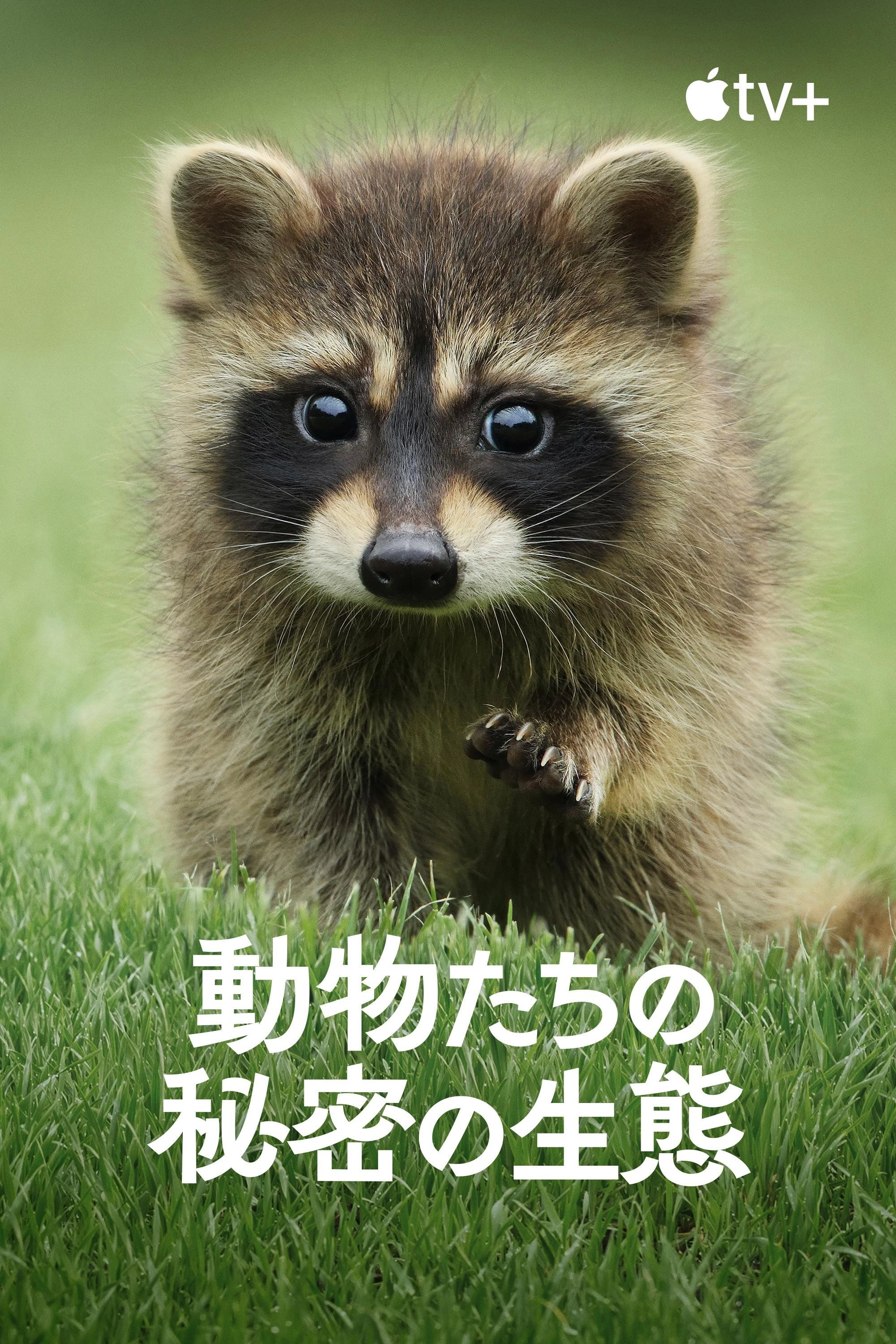 The Secret Lives of Animals