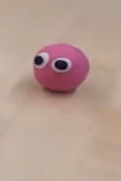 The Adventures of Steve the Ball