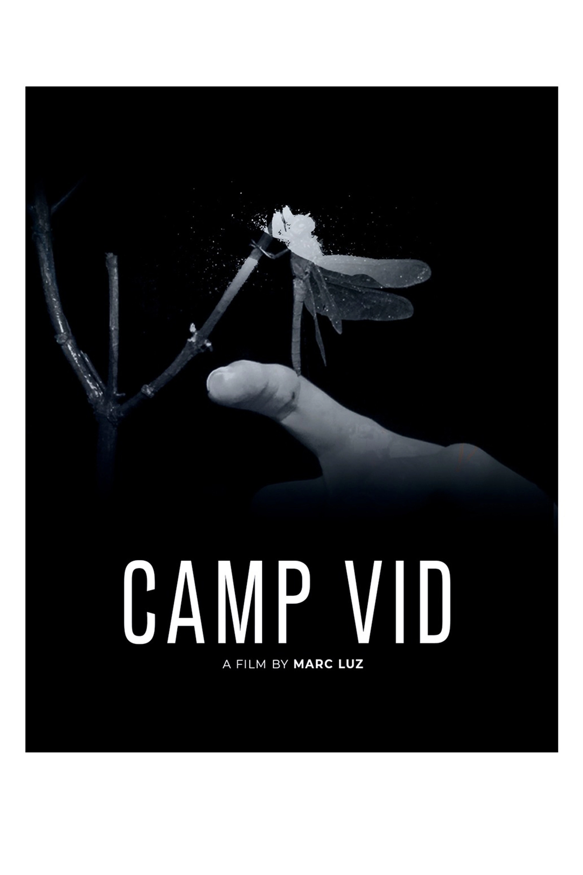 Camp Vid