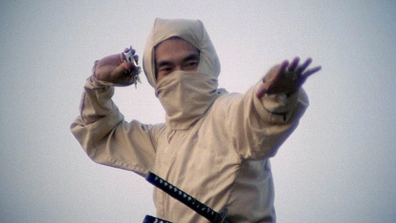 New York Ninja