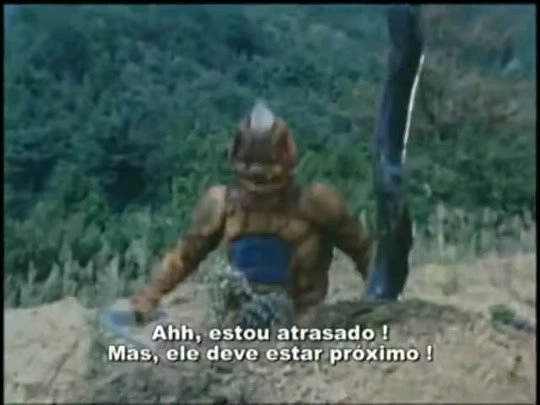 The Extraordinary Lion Knight