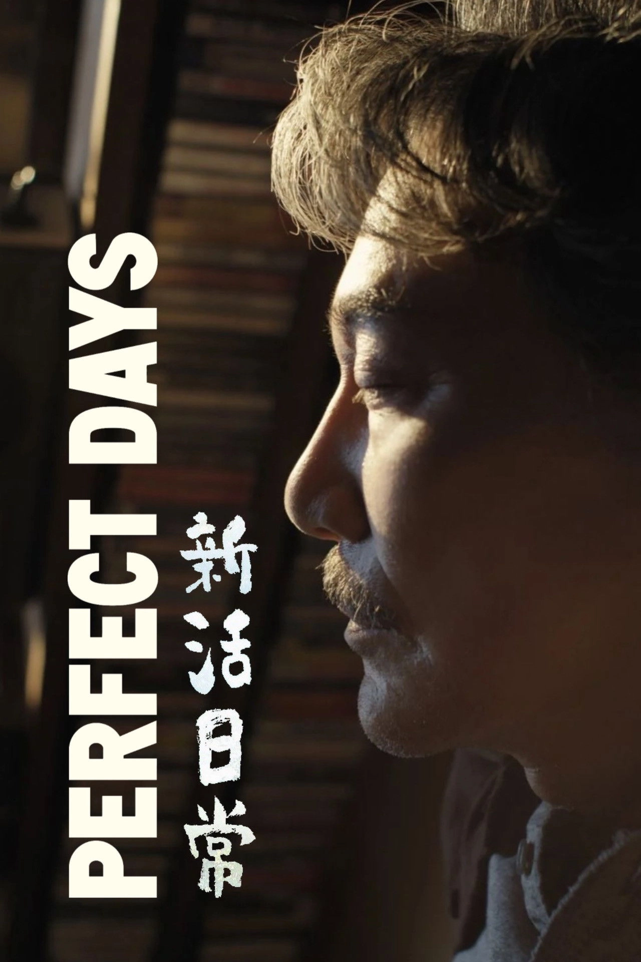 Perfect Days