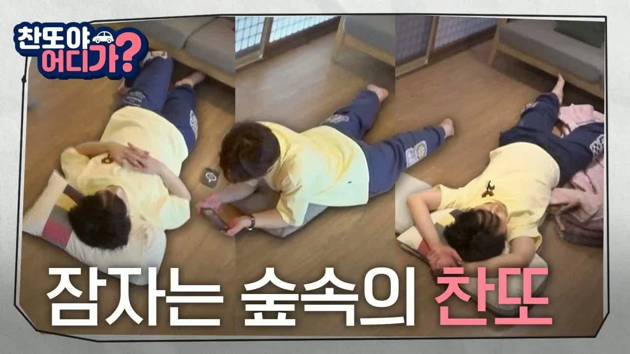 찬또야 어디가?