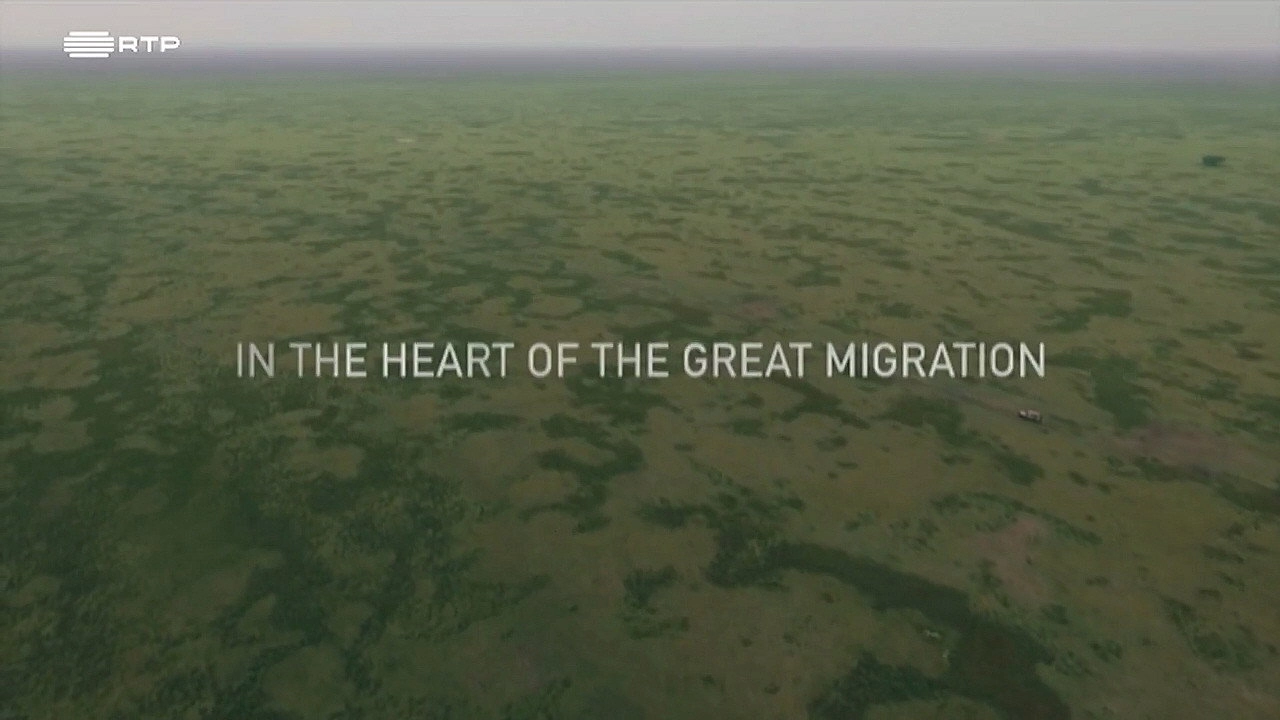 Planet Safari