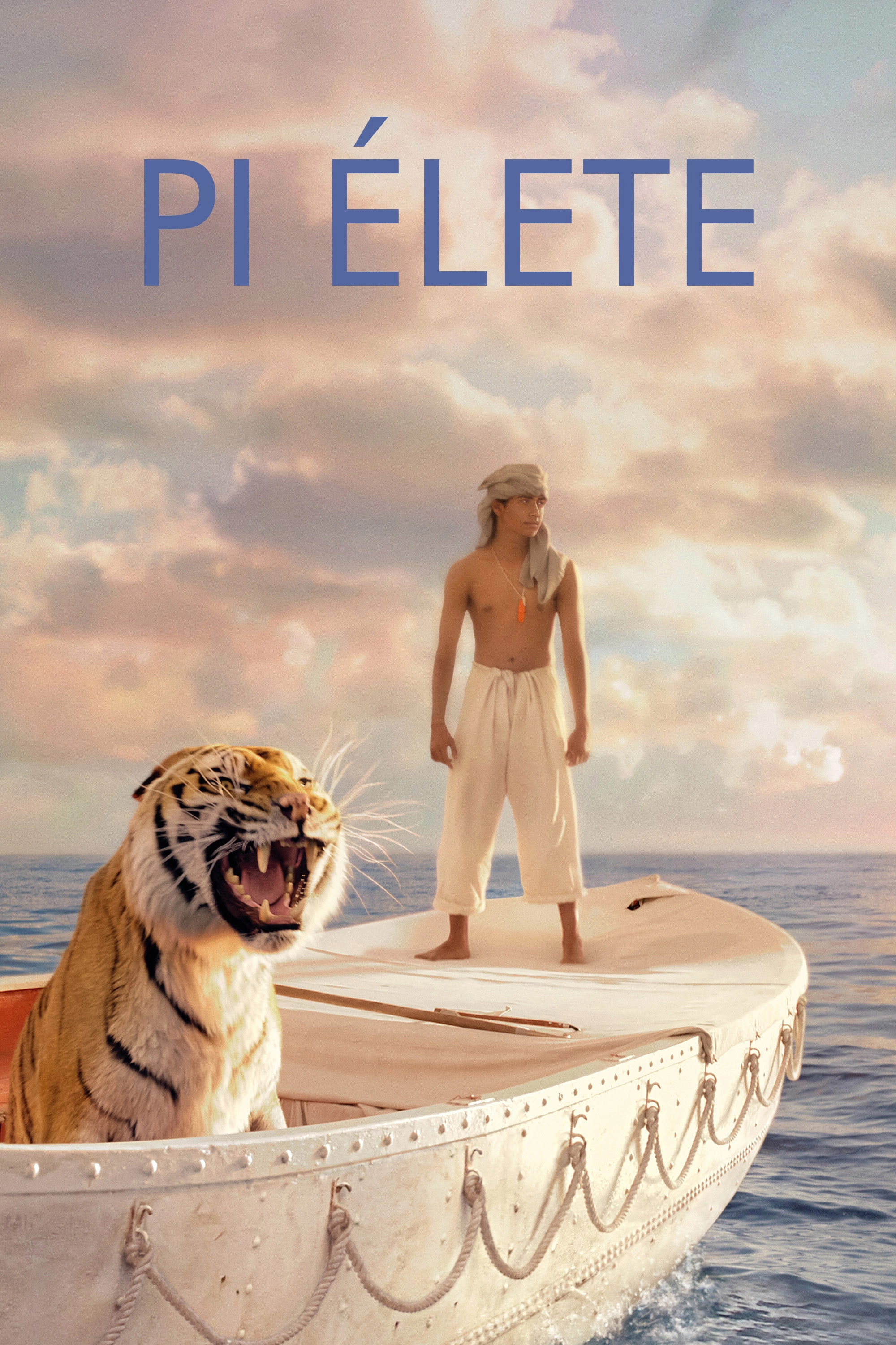 Life of Pi