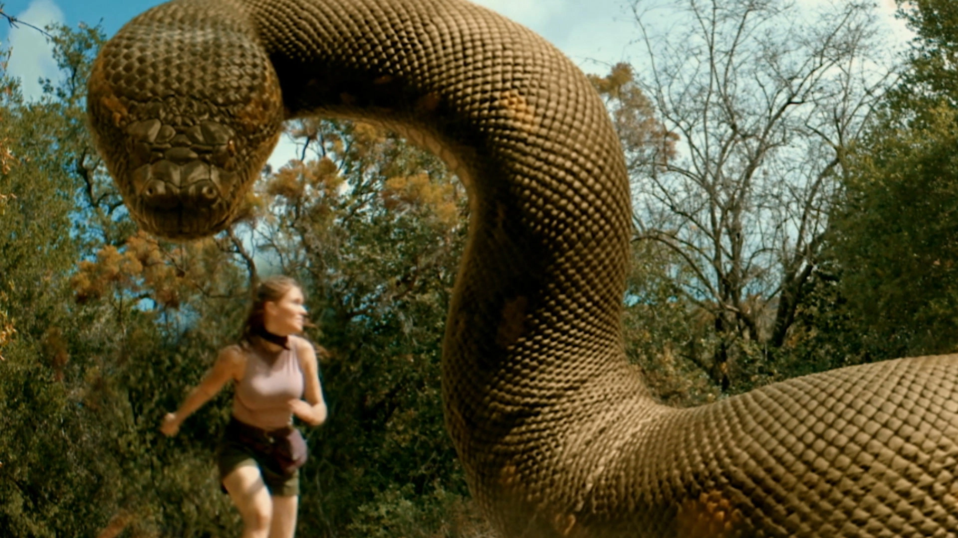 The Anacondas