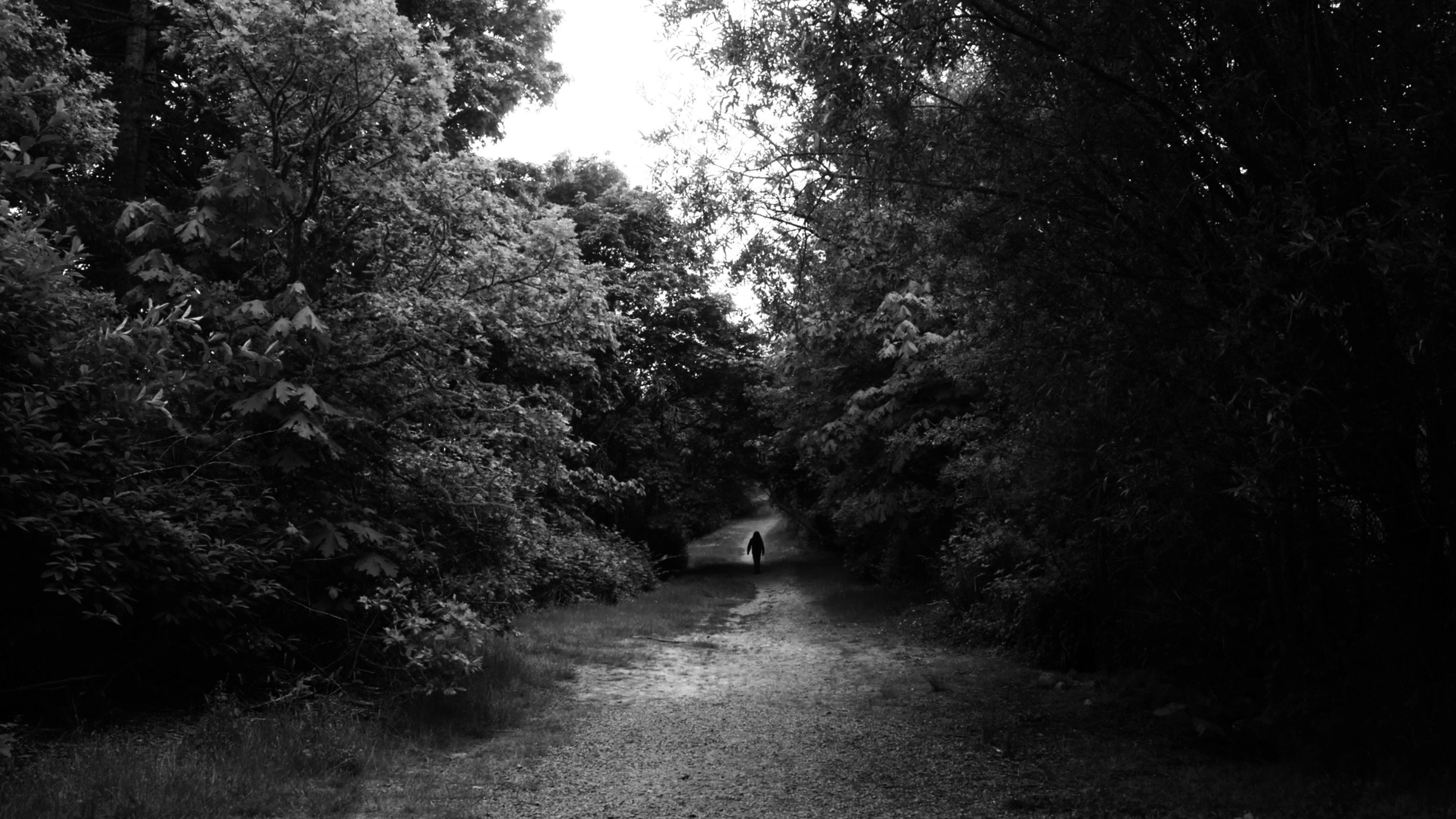 Sleepwalker