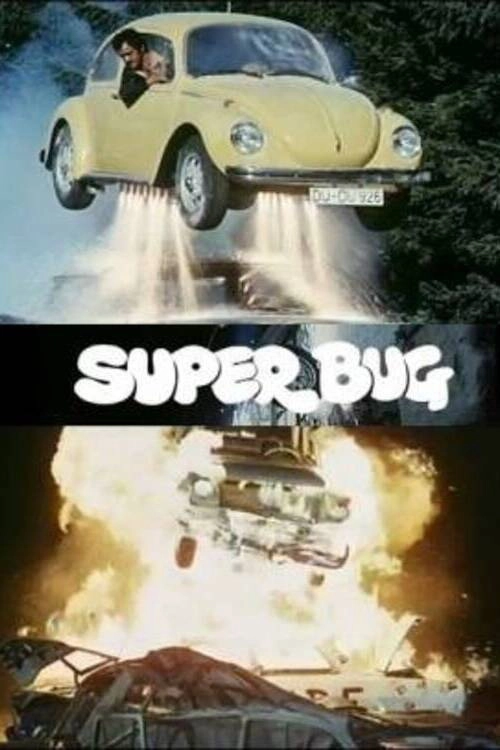 The Love Bug Rally