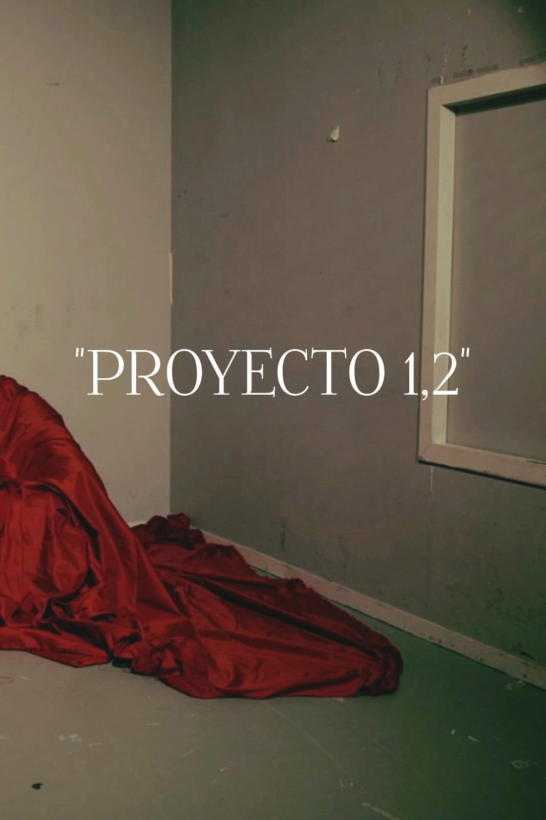 "PROYECTO 1,2"