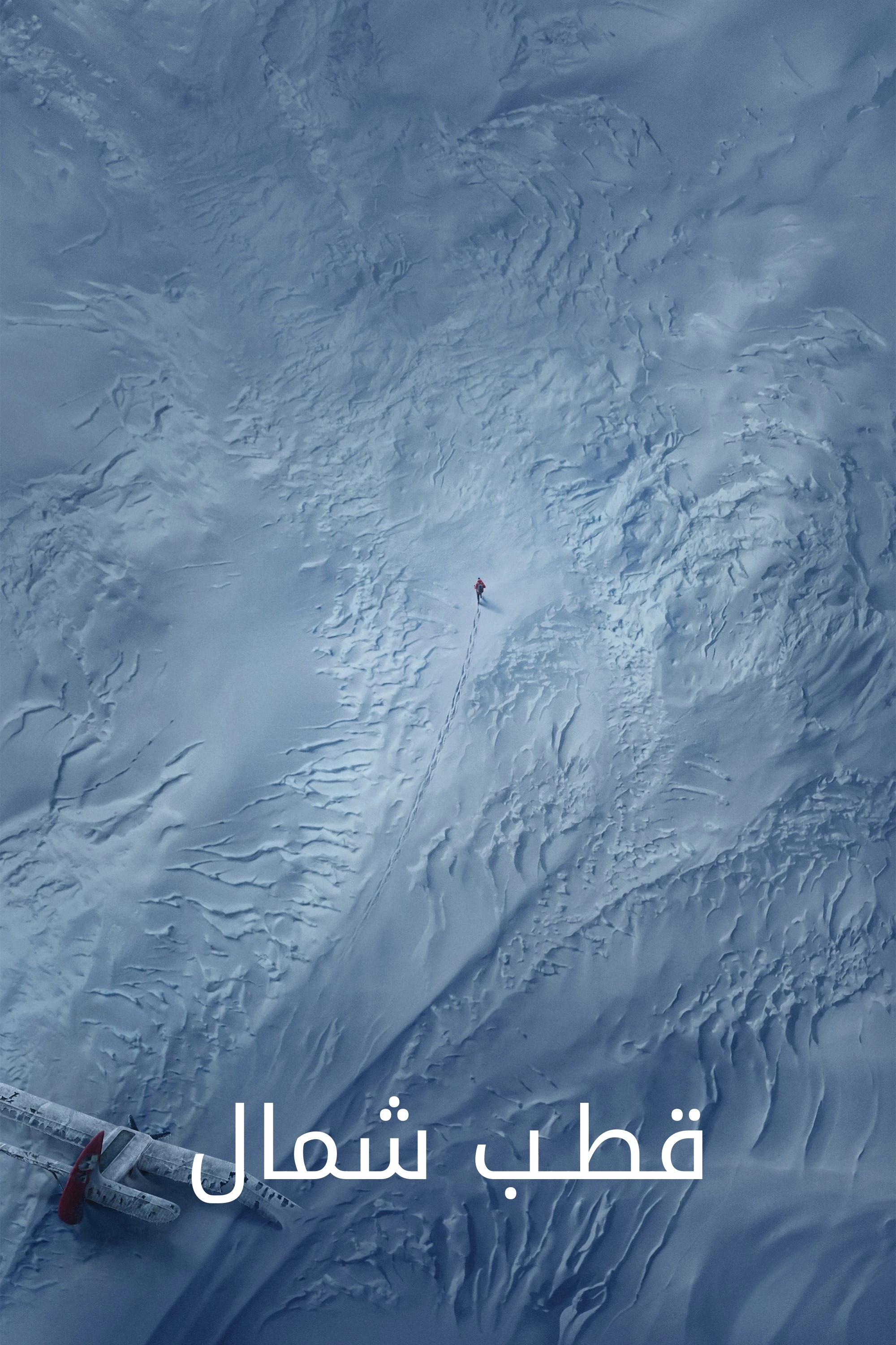 Arctic