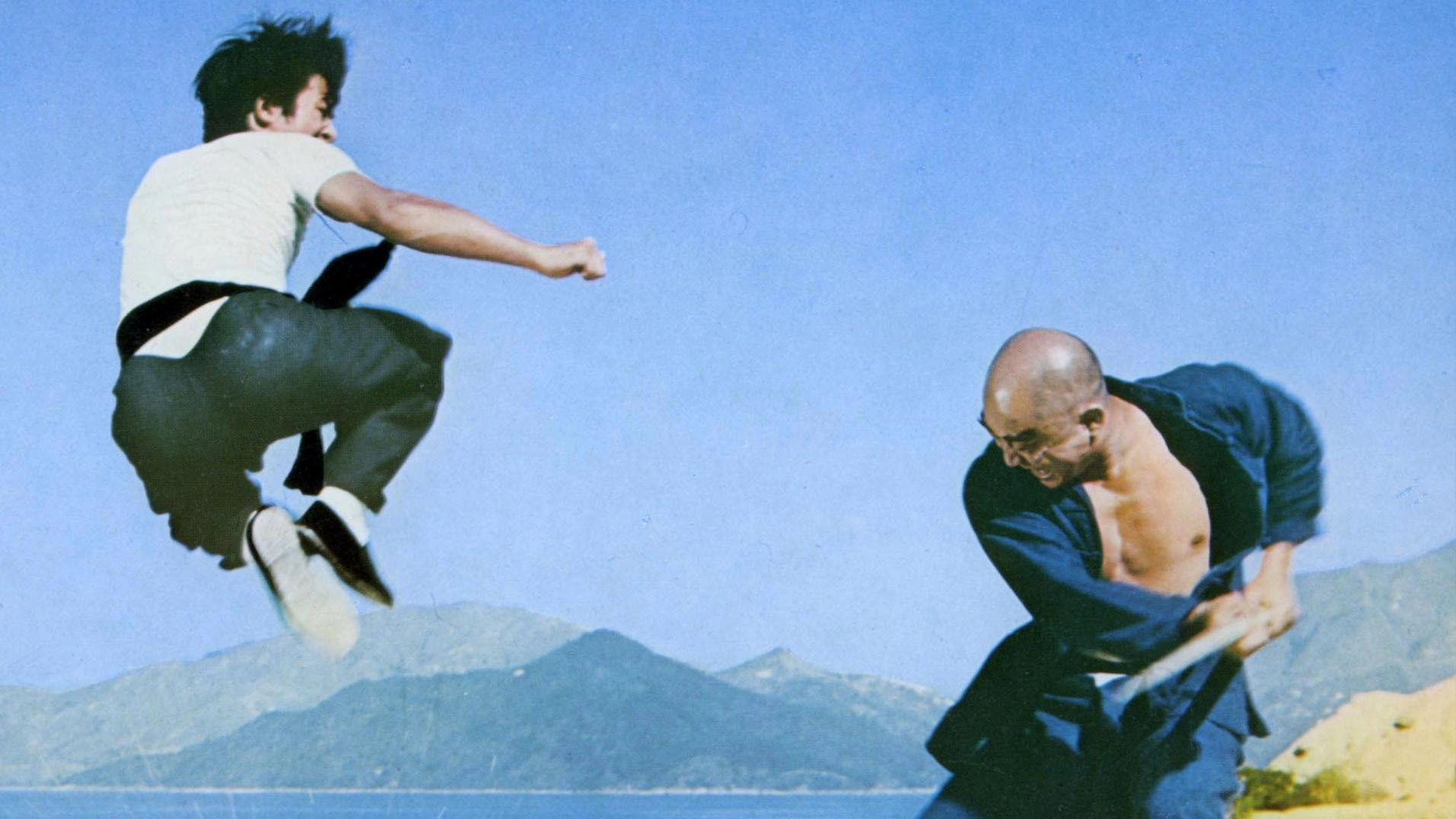 Super Kung Fu Kid