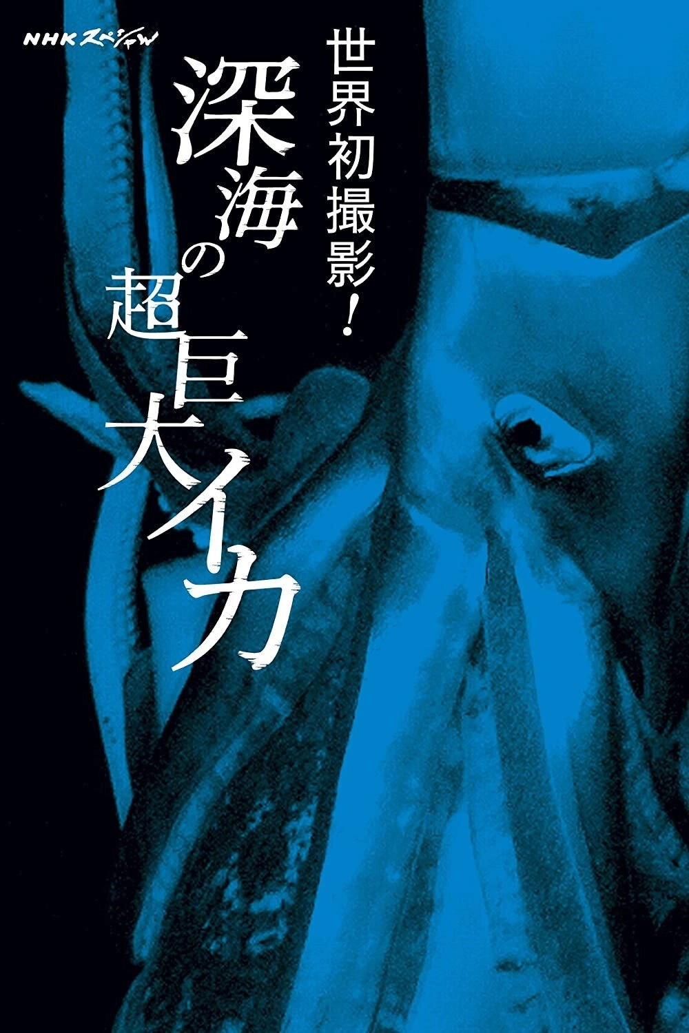 Legends of the Deep: The Giant Squid