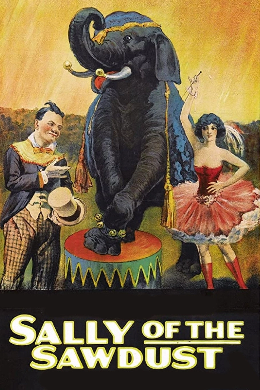 Sally of the Sawdust