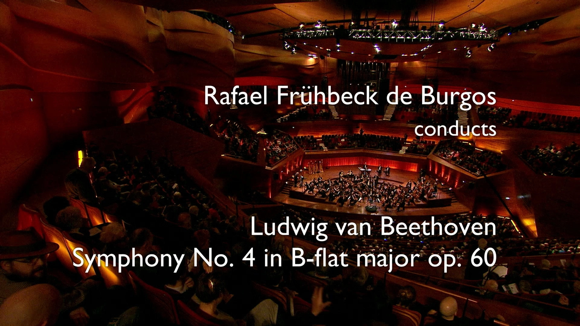 Beethoven: The Symphonies (Rafael Frühbeck de Burgos Conducts the Danish National Symphony Orchestra)