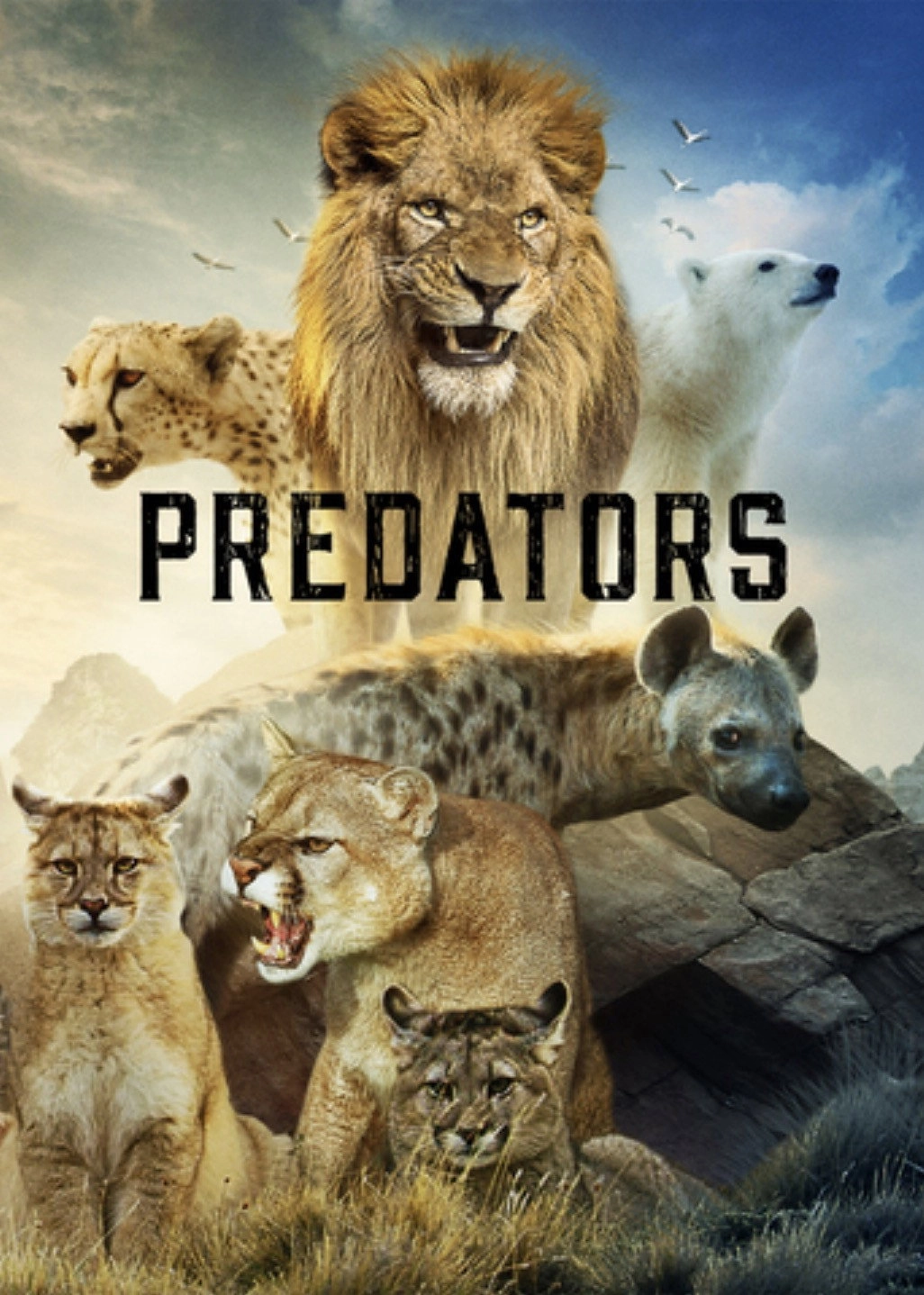 Predators