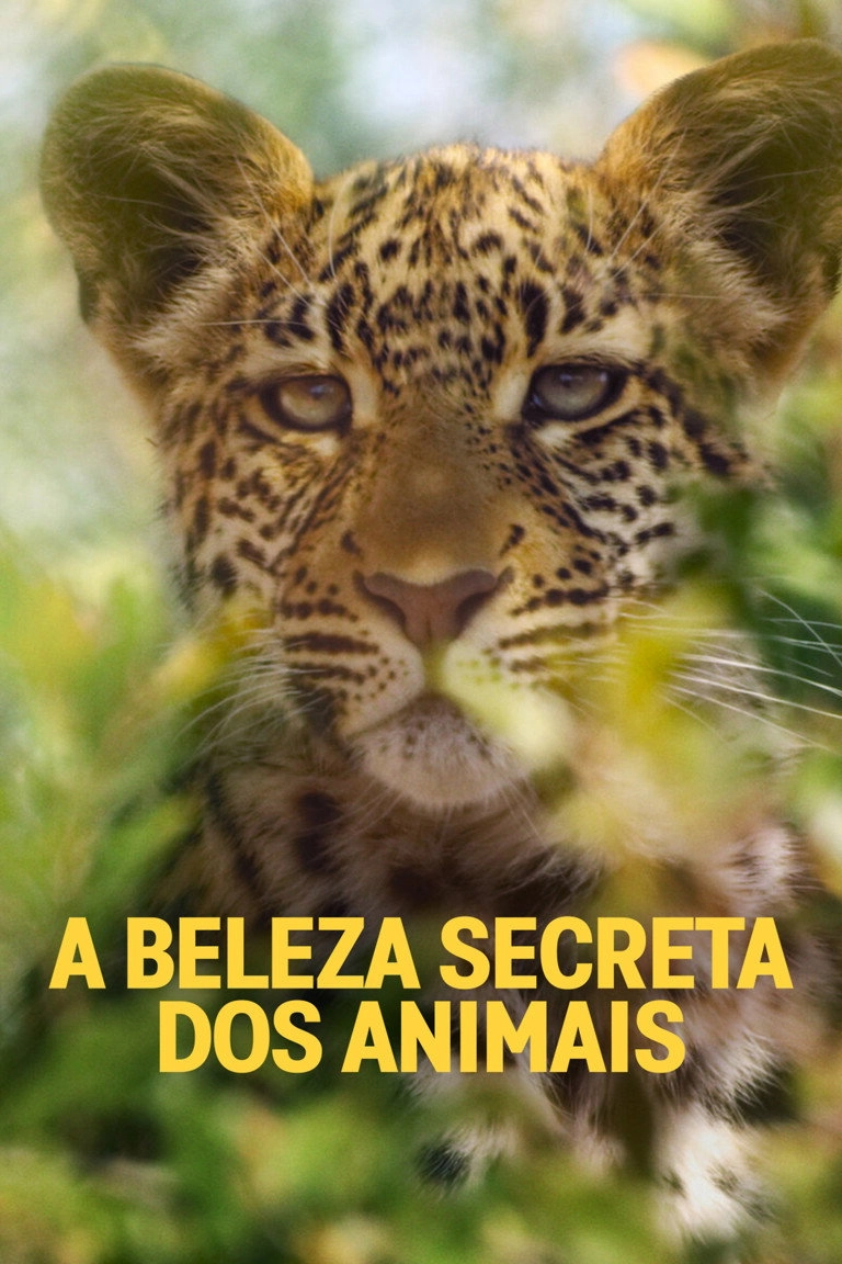 Animal