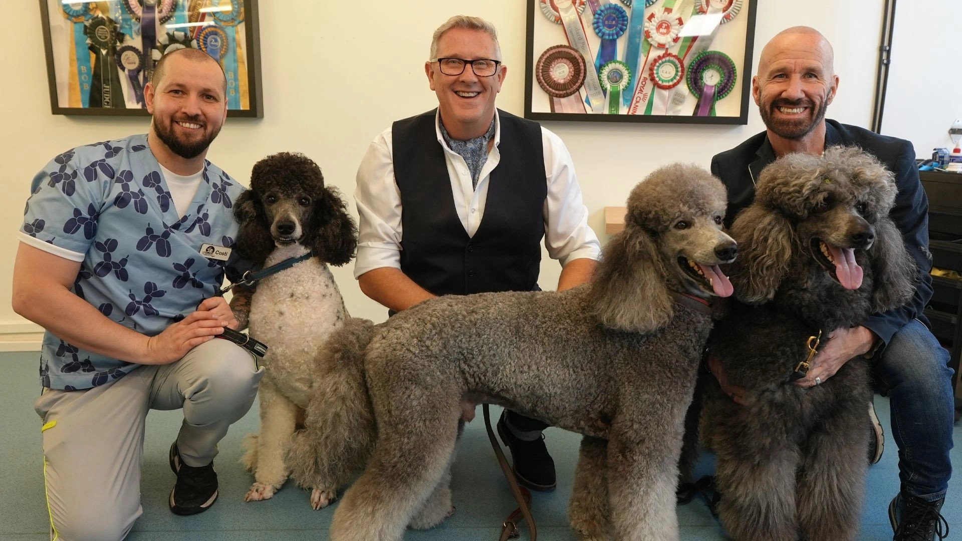 Dogs Behaving (Very) Badly