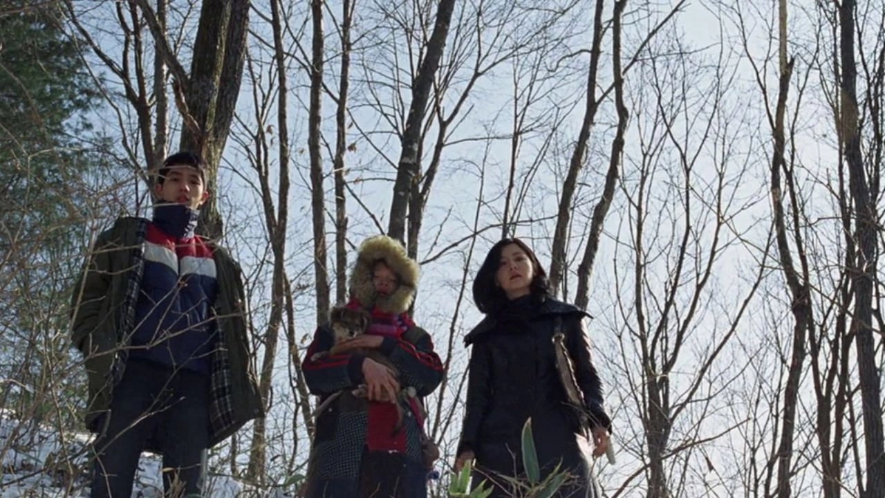 Lady Vengeance