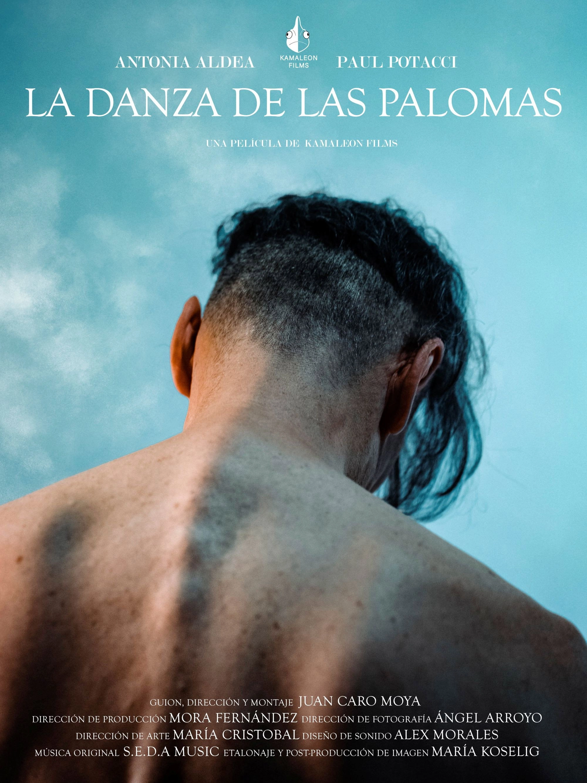 La danza de las palomas