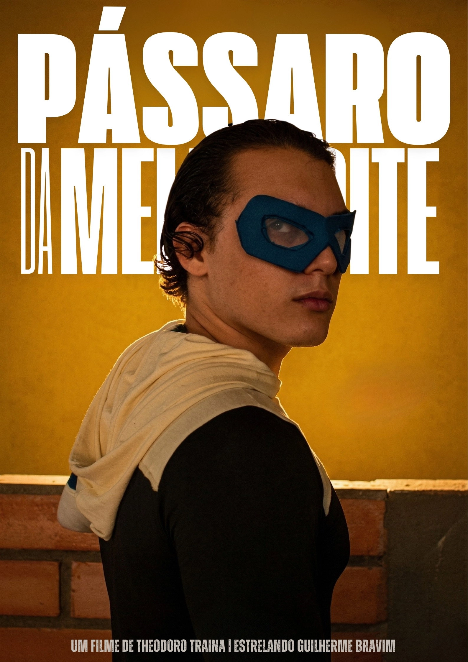 Pássaros da Meia noite