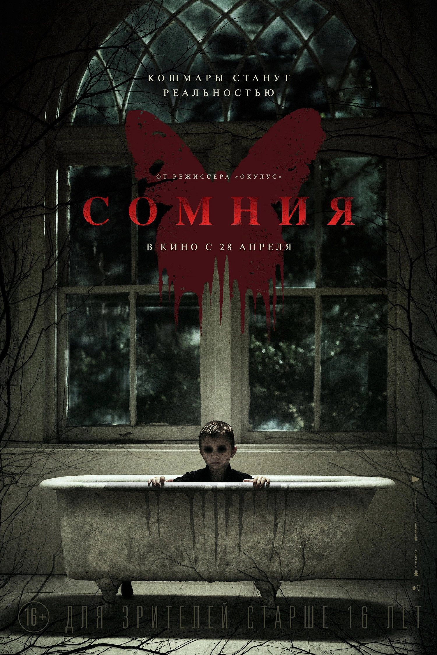 Before I Wake