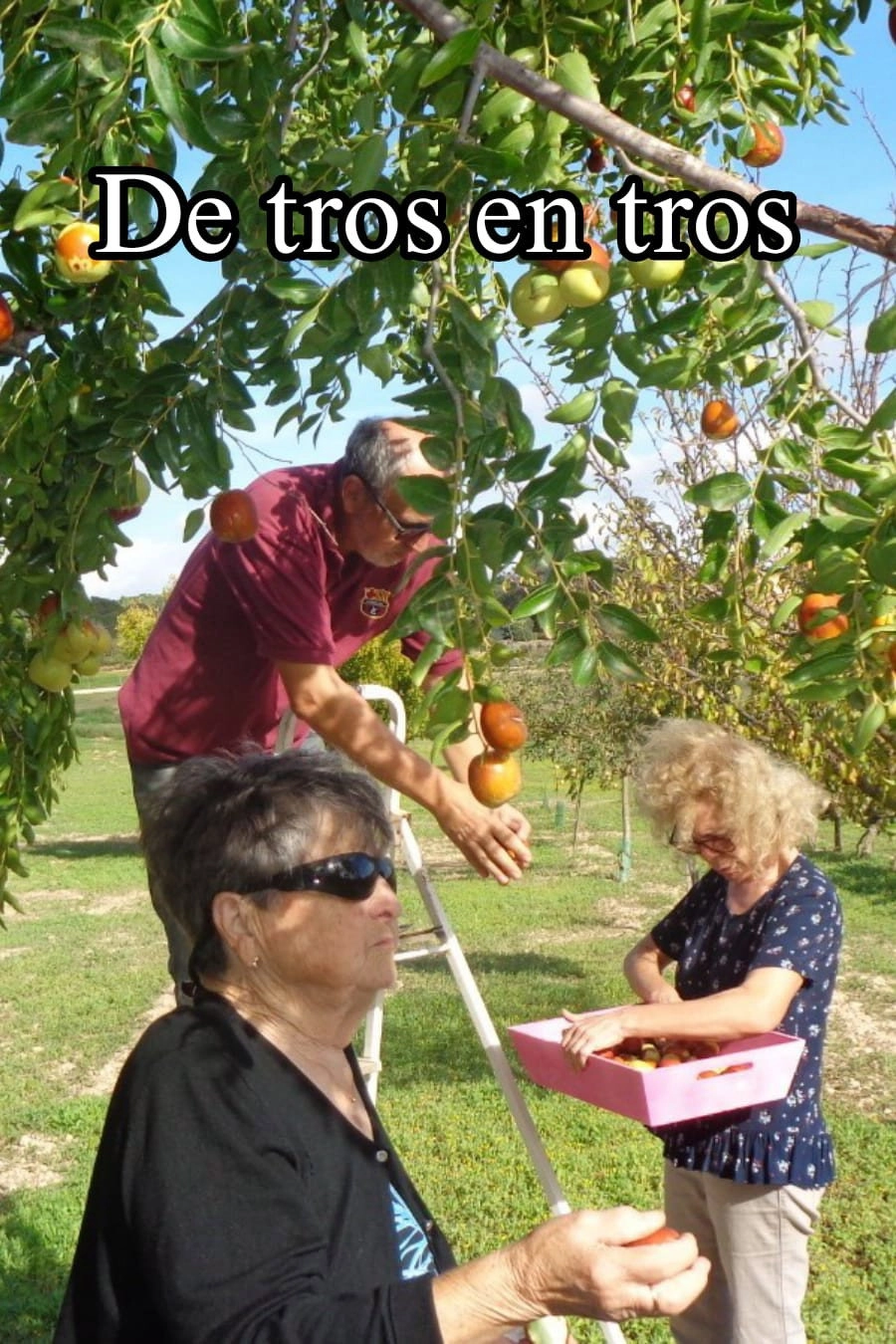 De tros en tros