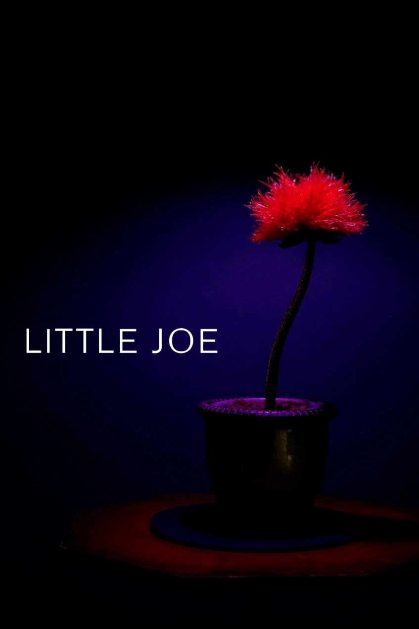 Little Joe