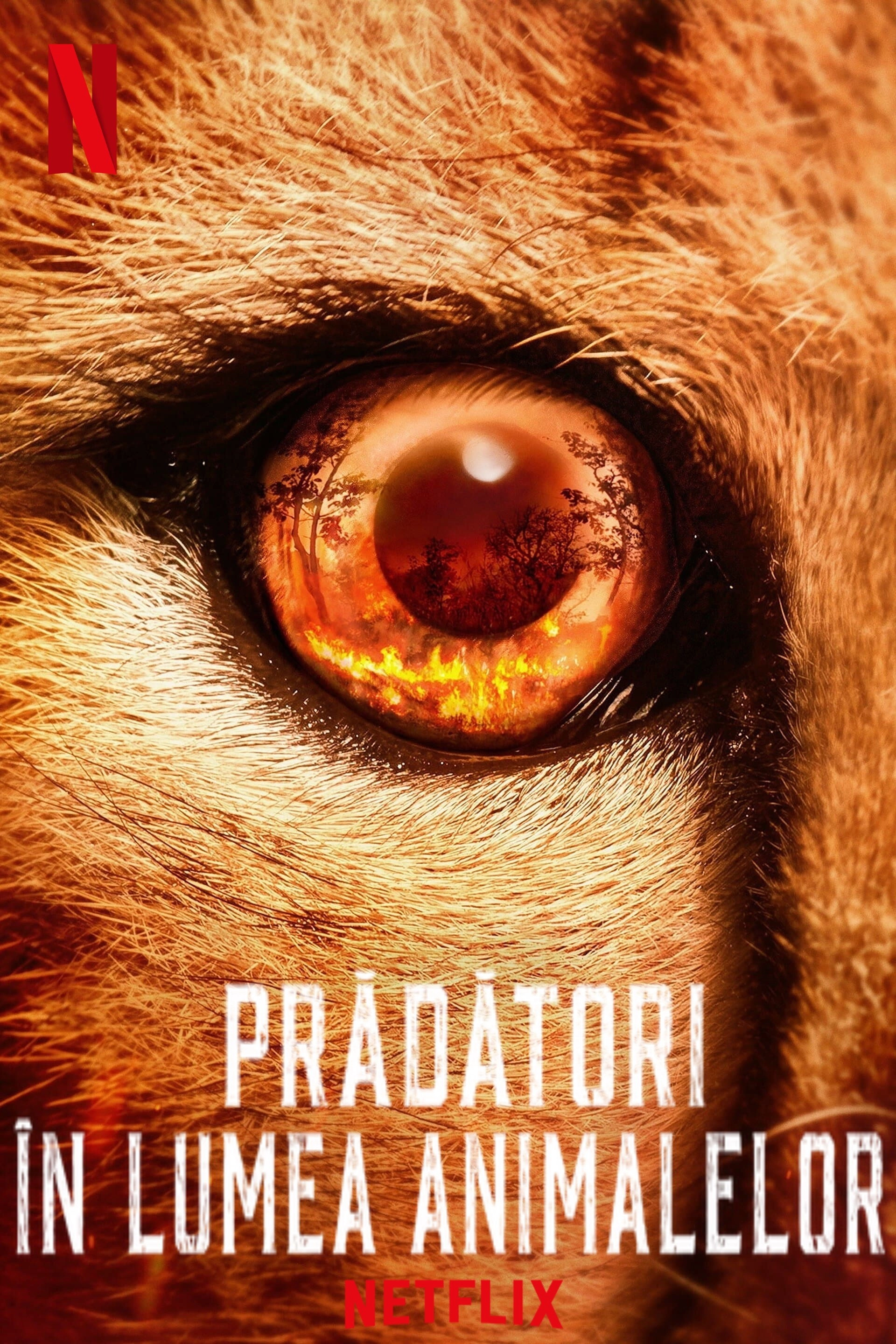 Predators