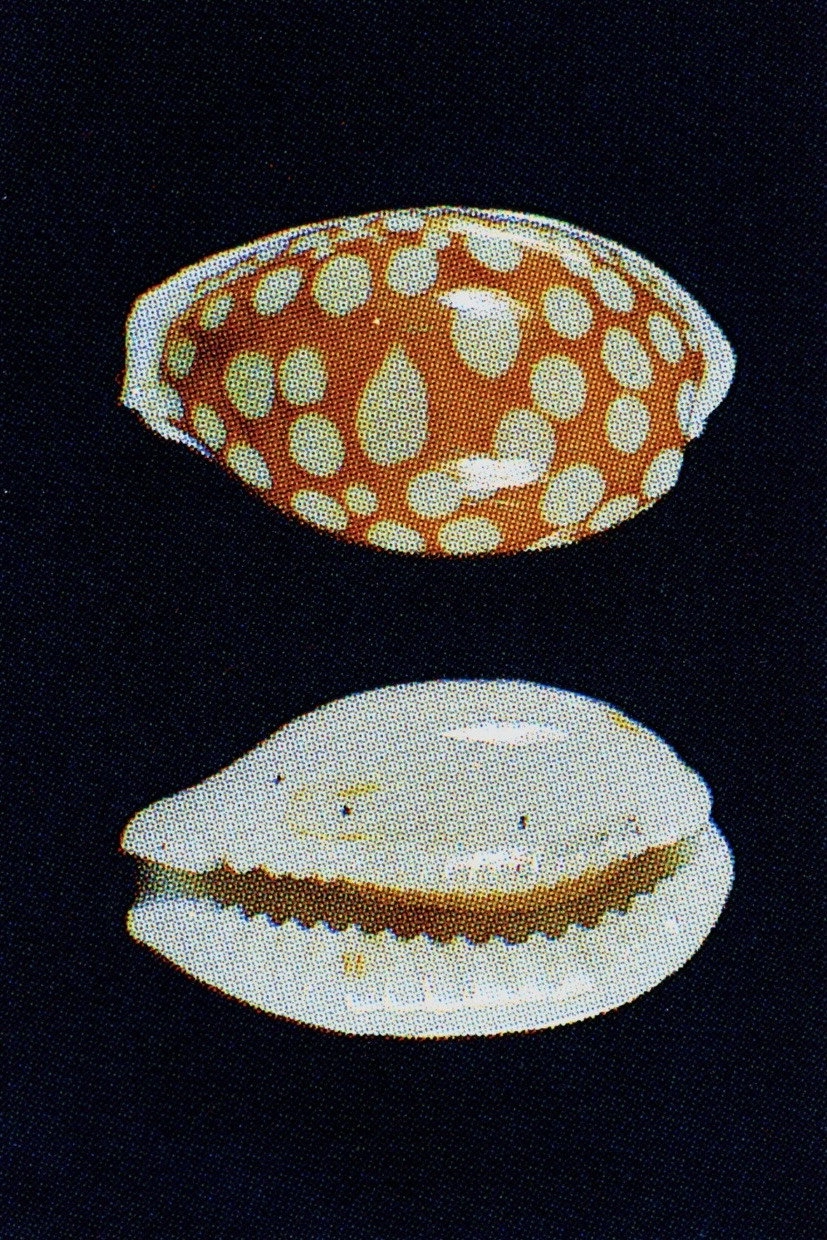 Carreg Gron