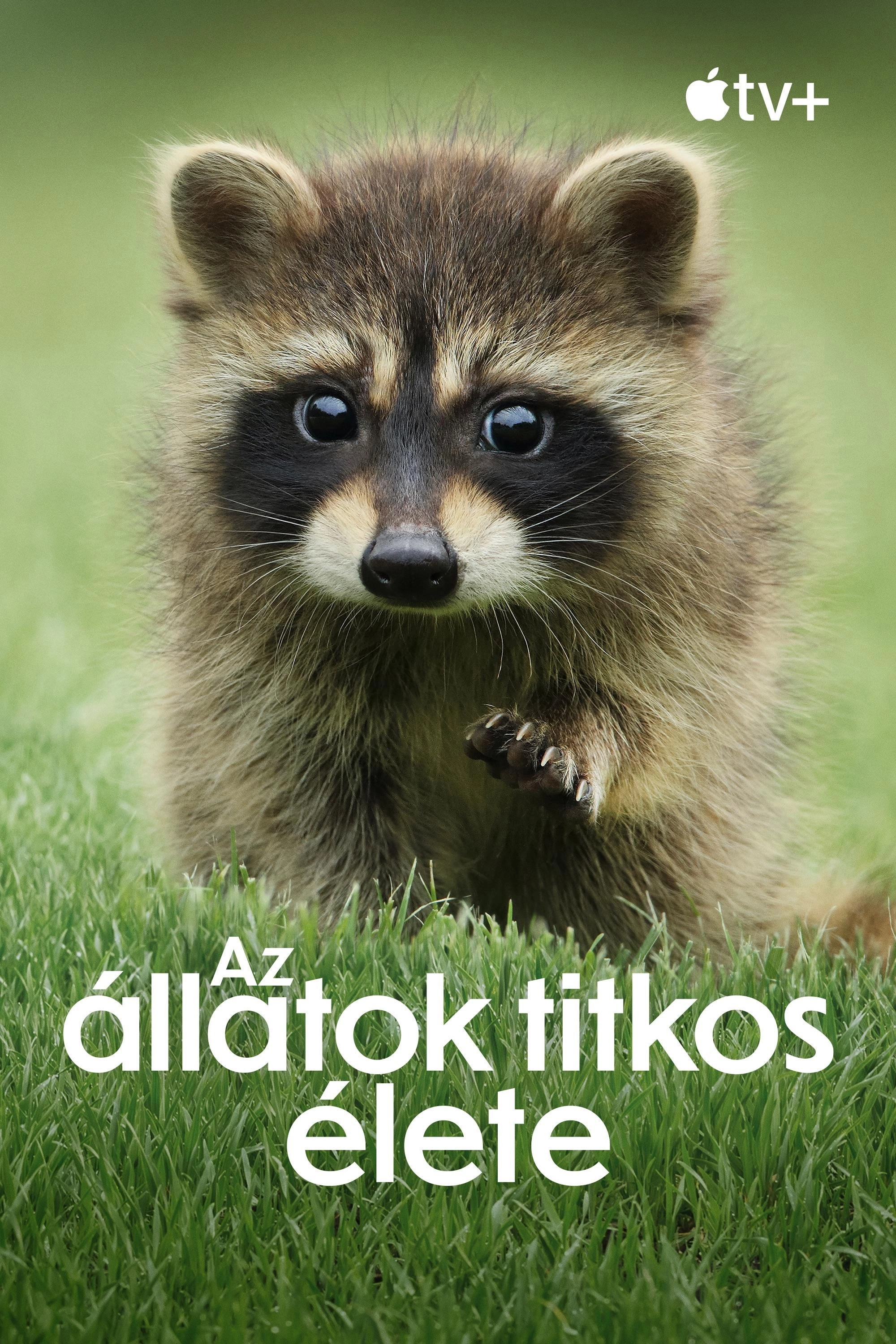 The Secret Lives of Animals