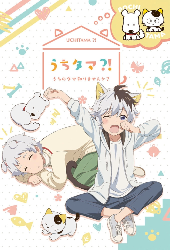 Uchitama?! Have You Seen My Tama?