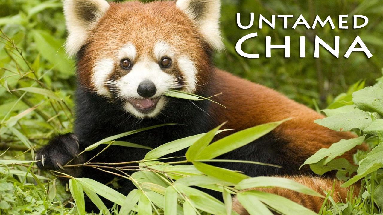 Untamed China