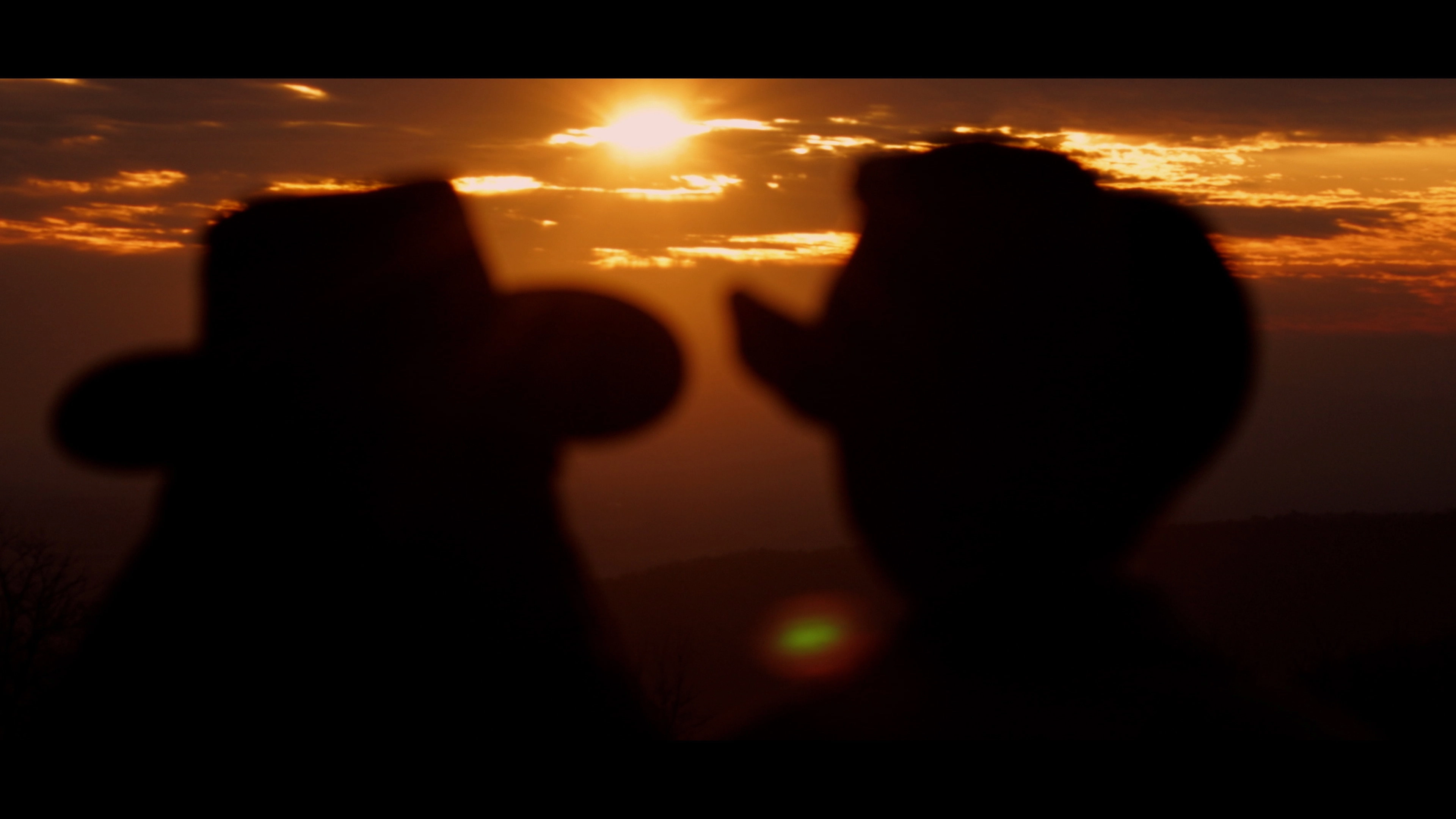 The Lonesome Pony
