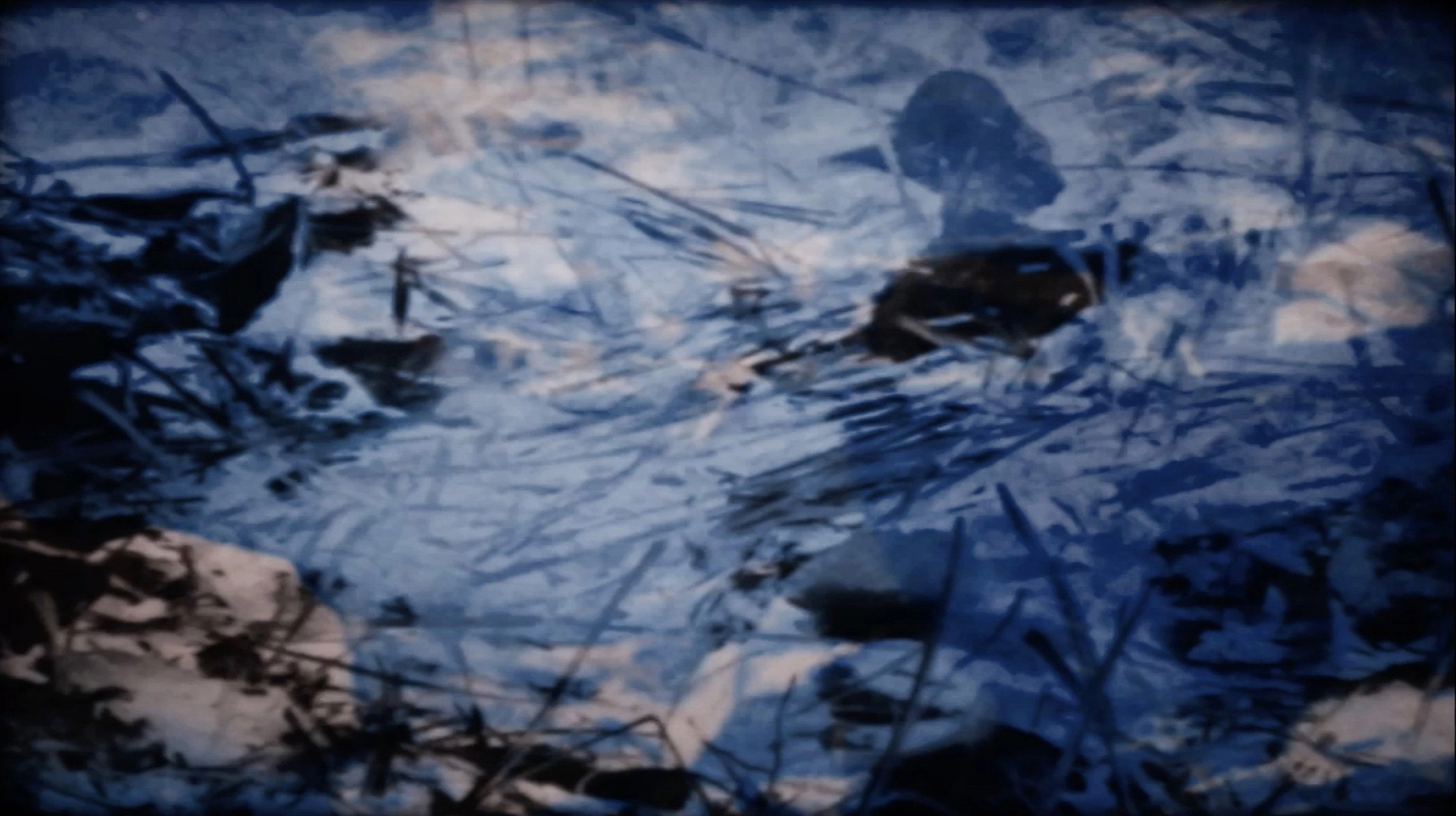 blue in the key of 16mm
