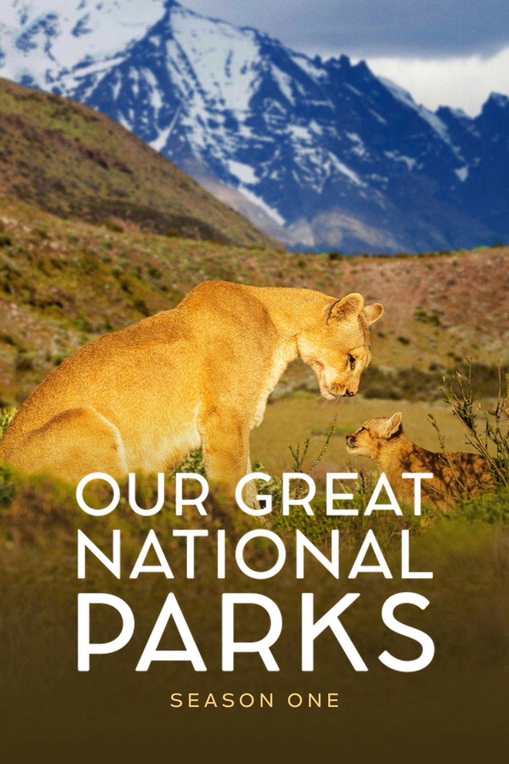 Our Great National Parks