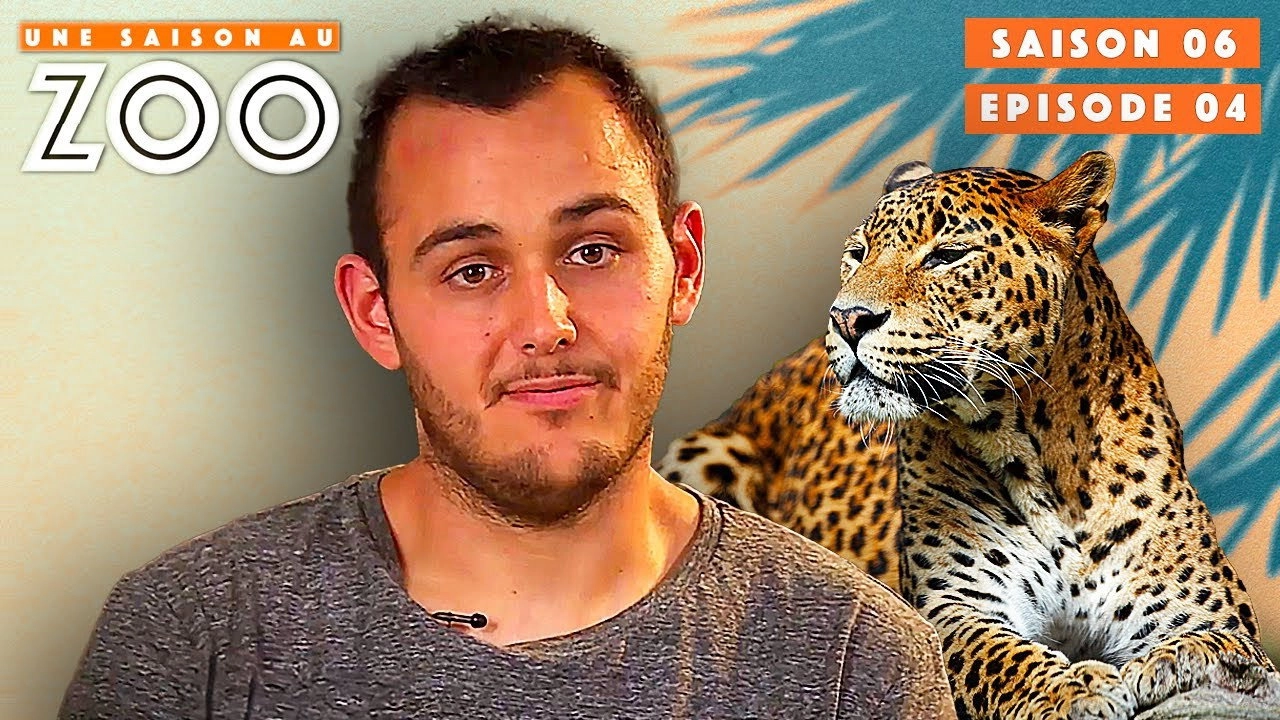 Une saison au zoo