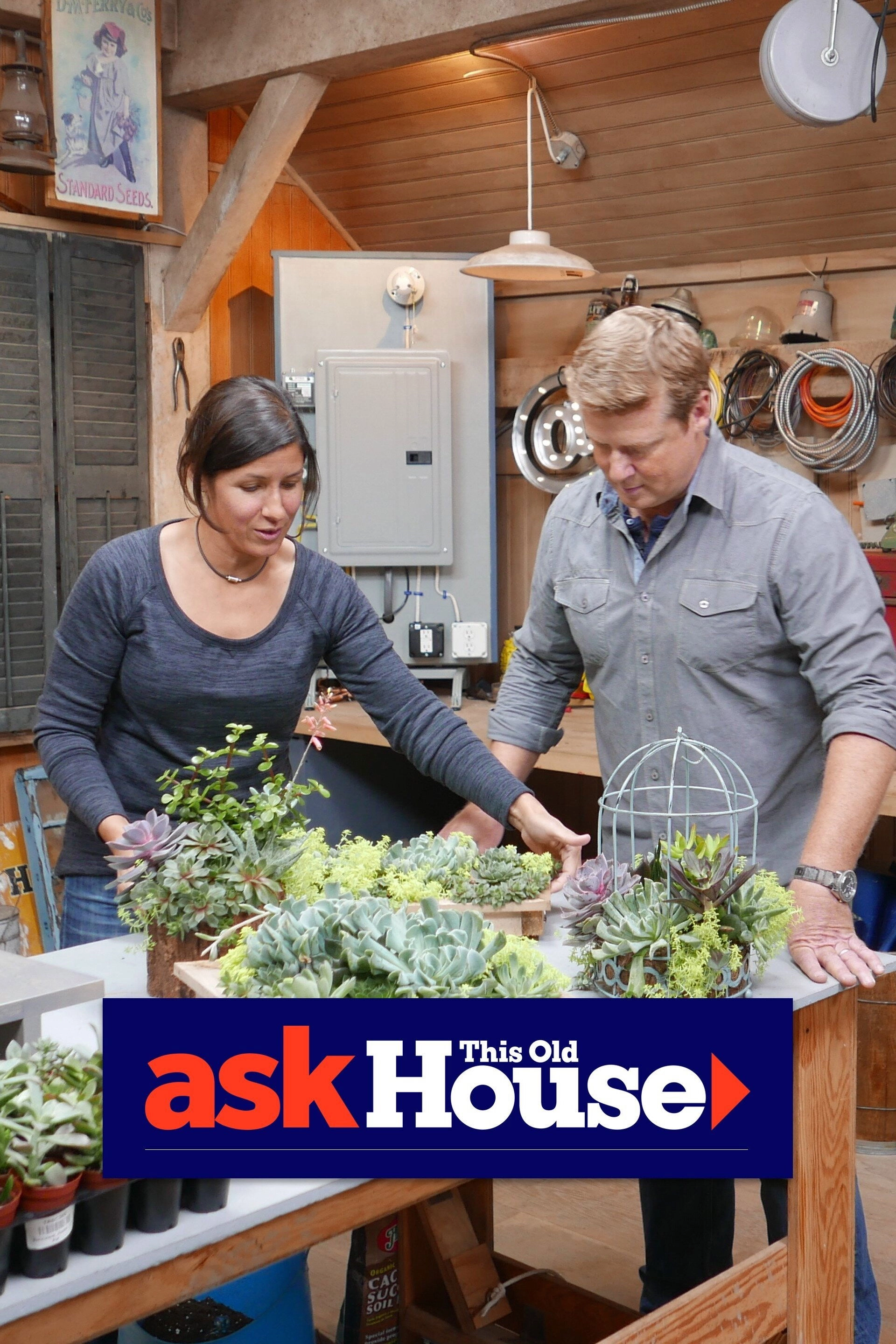 Ask This Old House