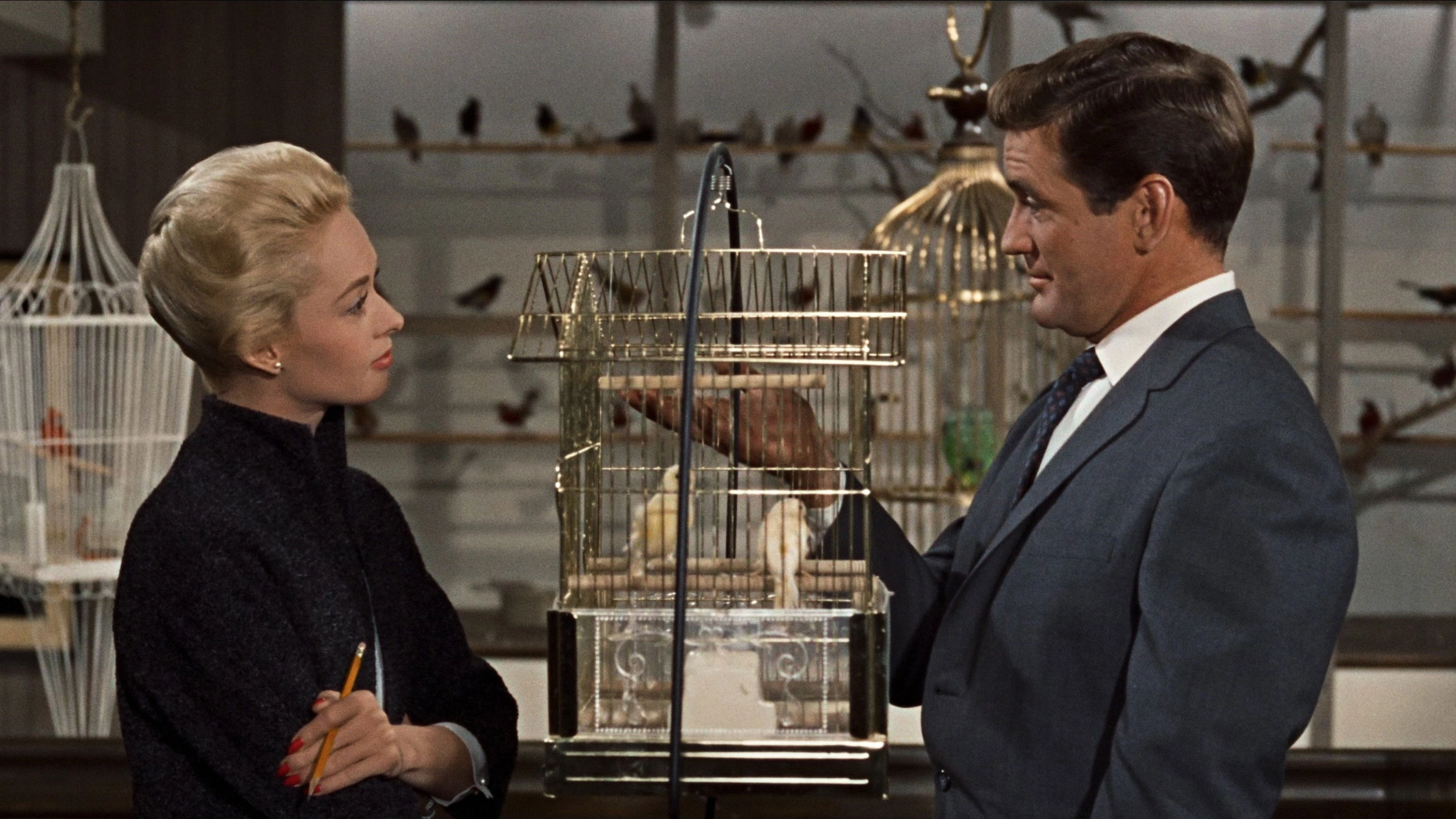 The Birds