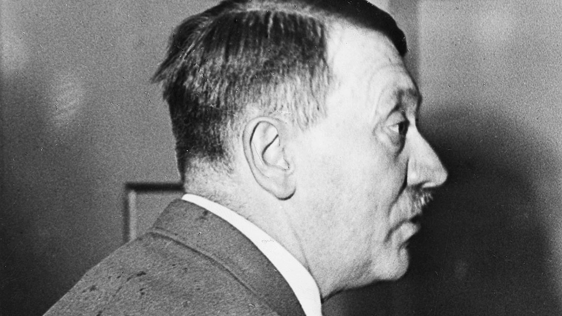 Hitler: The Rise and Fall