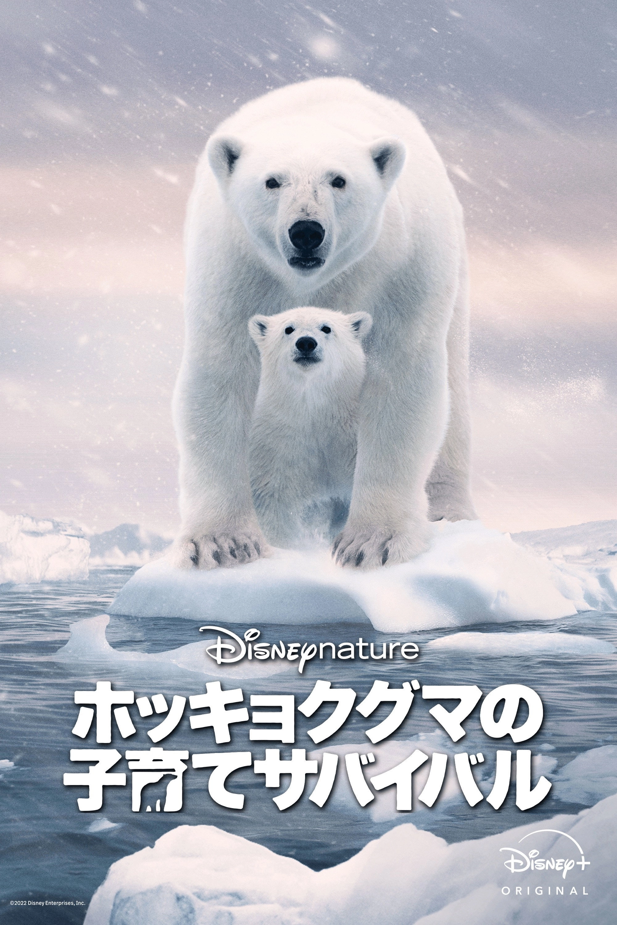 Polar Bear