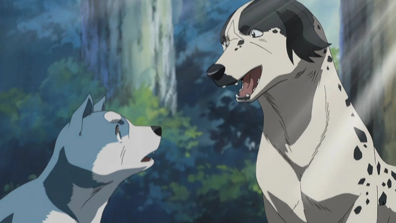 Silver Fang Legend Weed