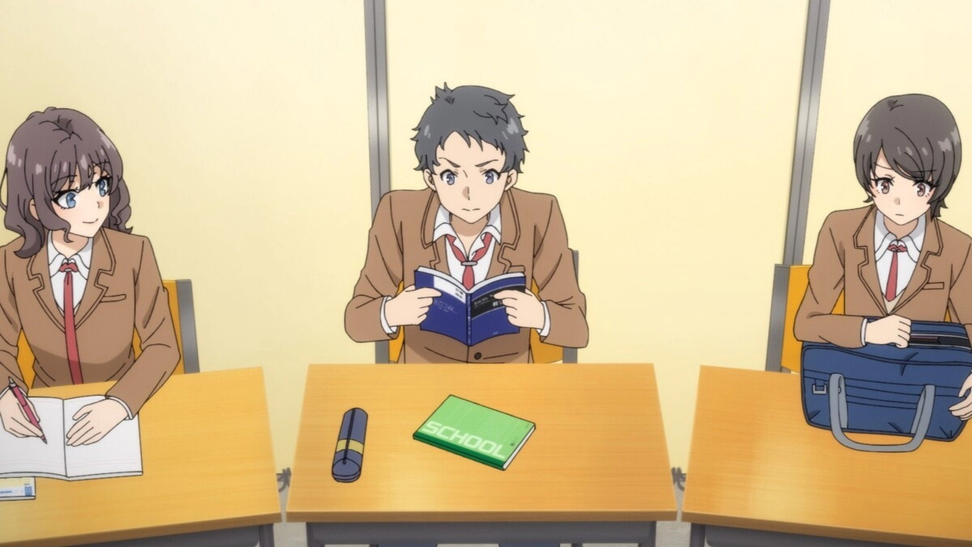 Rascal Does Not Dream of Bunny Girl Senpai