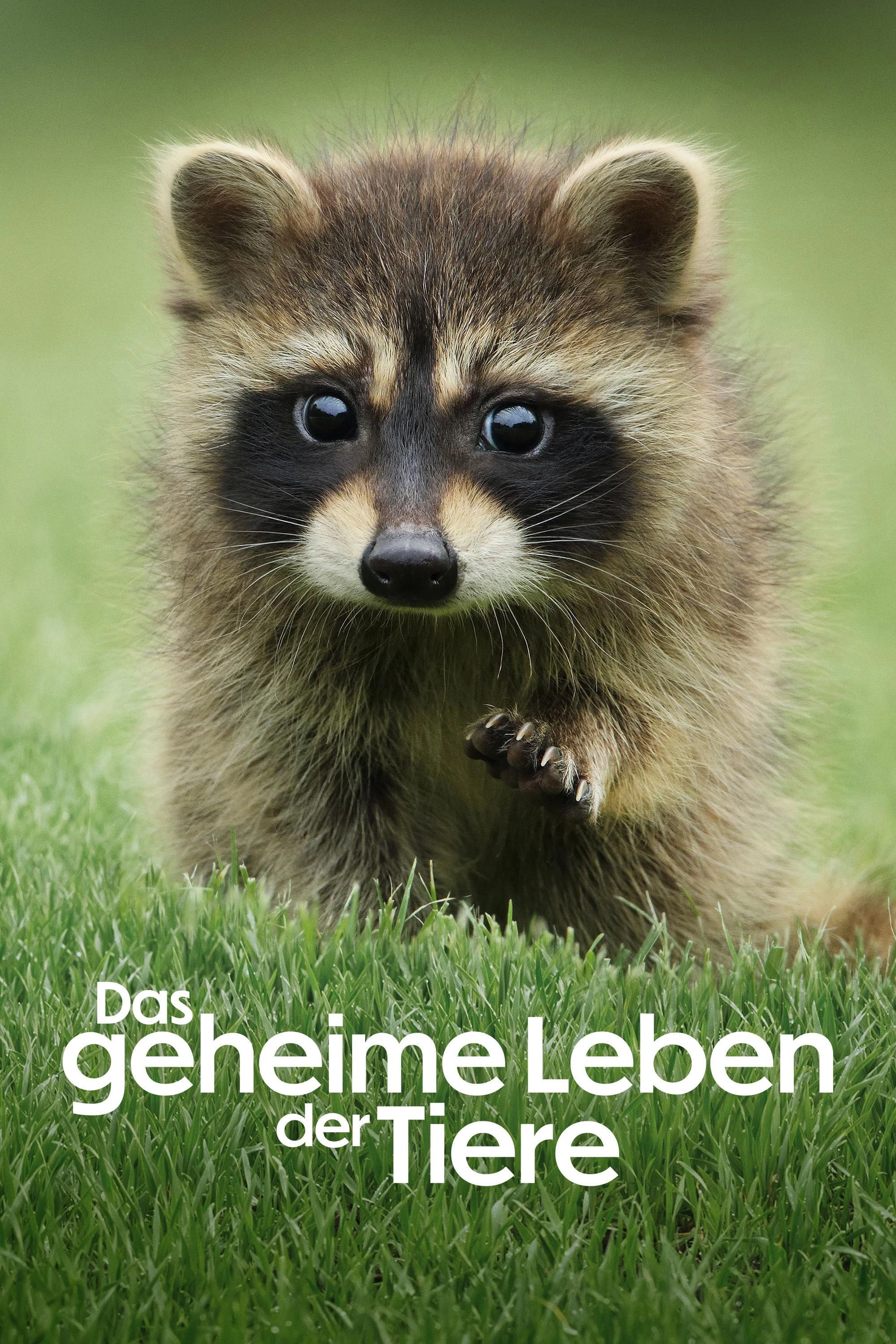 The Secret Lives of Animals