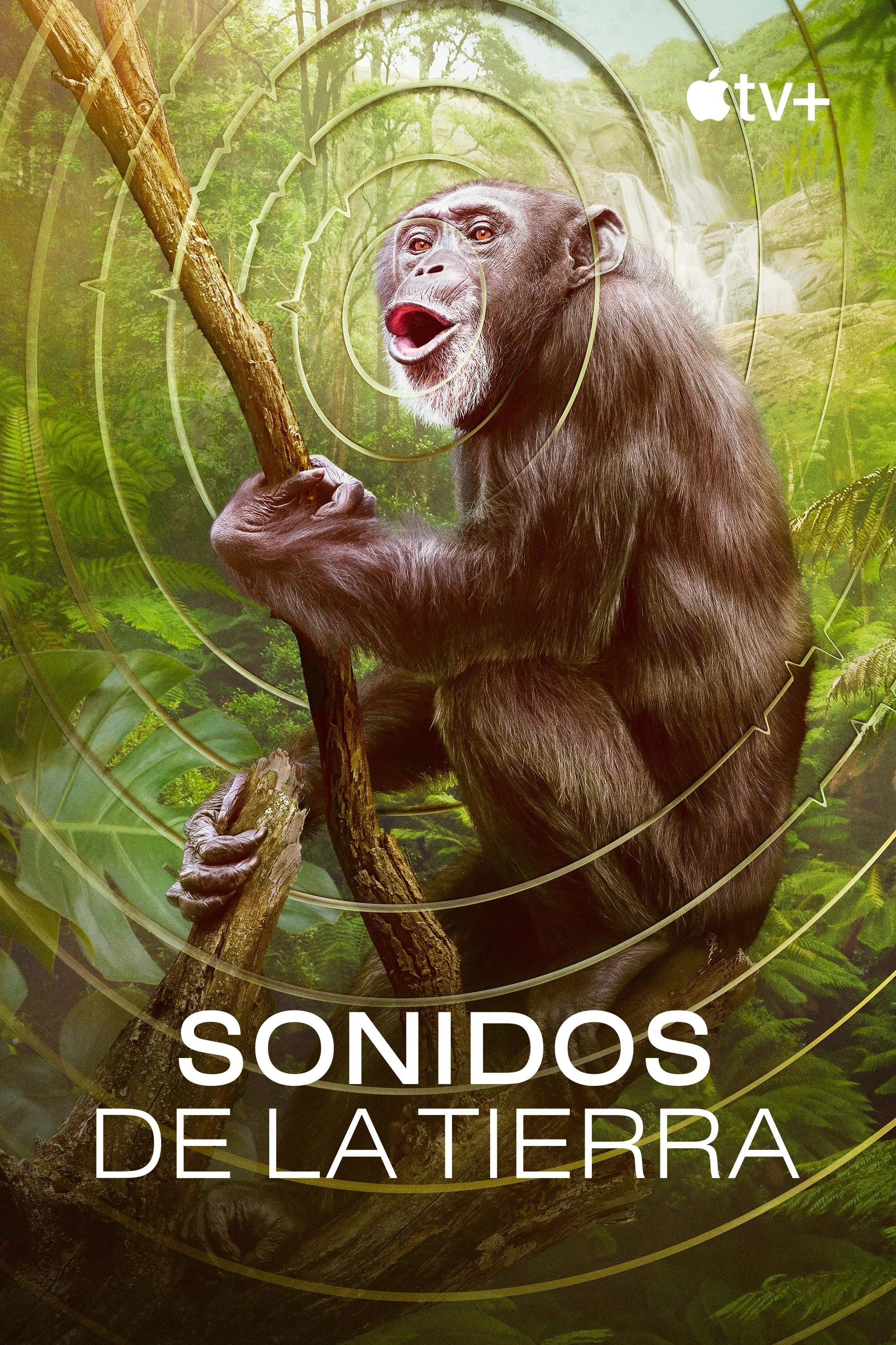 Earthsounds