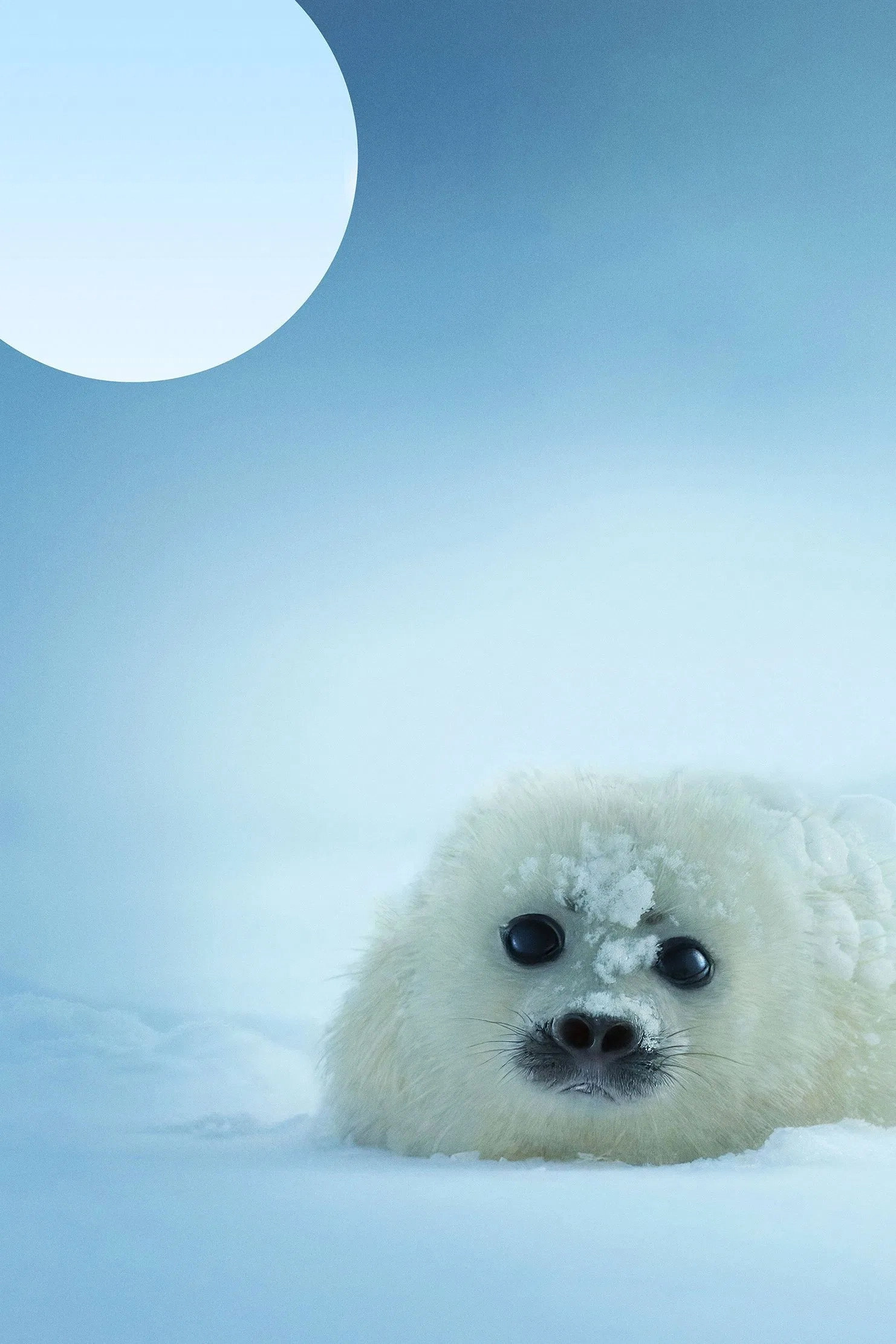 Our Planet