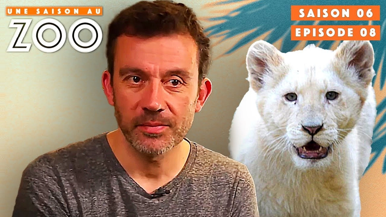 Une saison au zoo