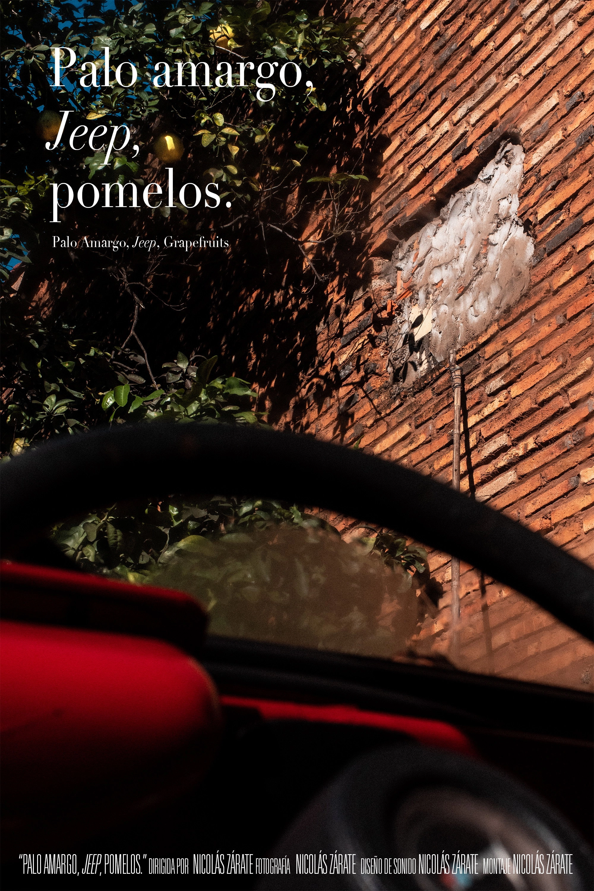 Palo Amargo, Jeep, Grapefruits