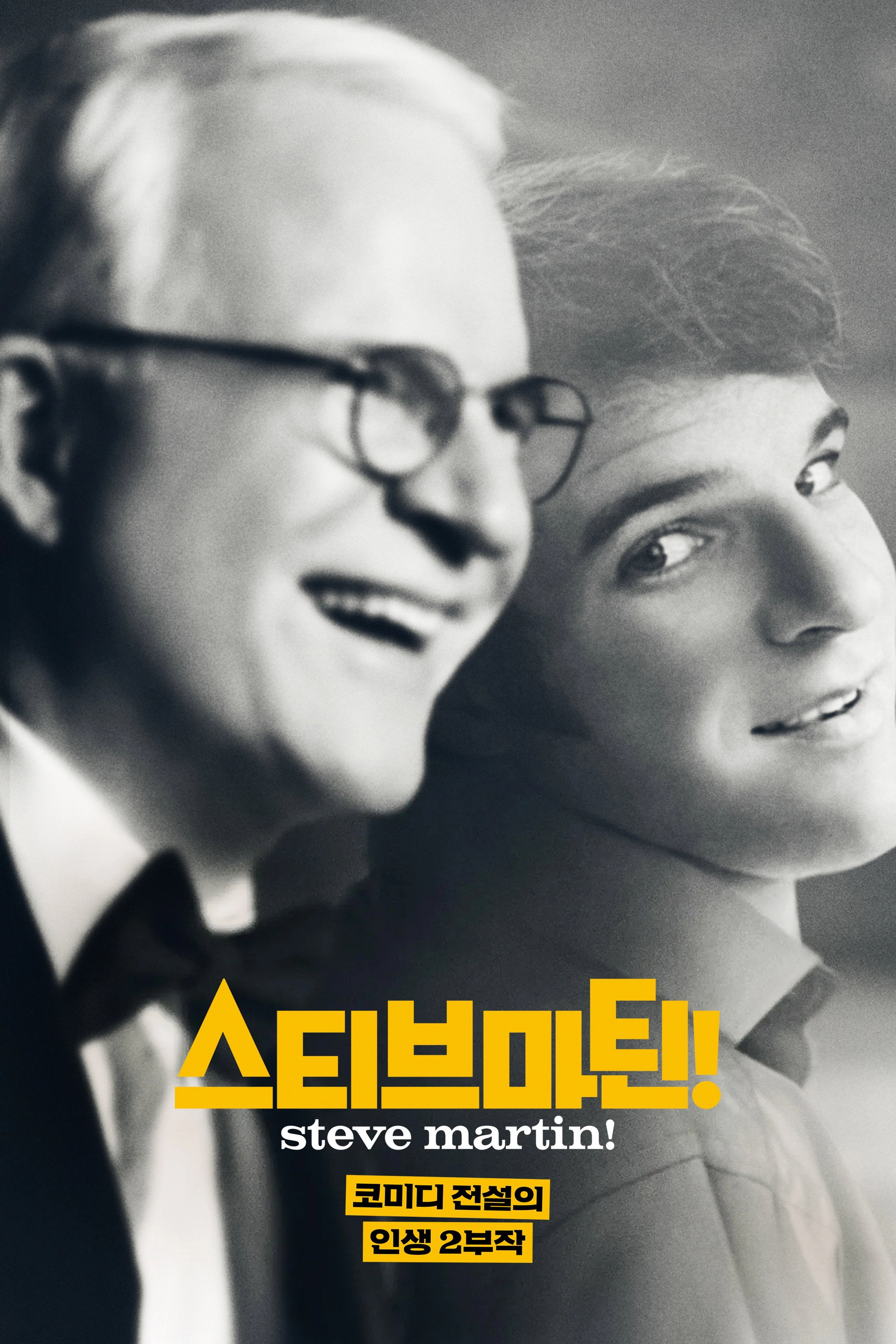 STEVE! (martin) a documentary in 2 pieces