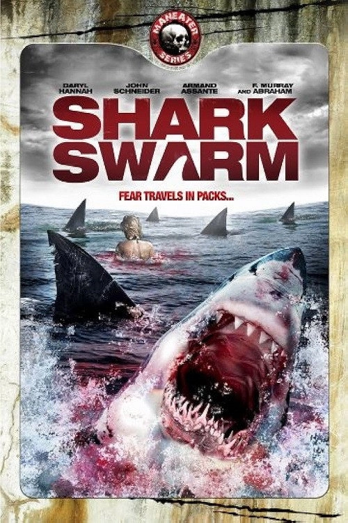 Shark Swarm