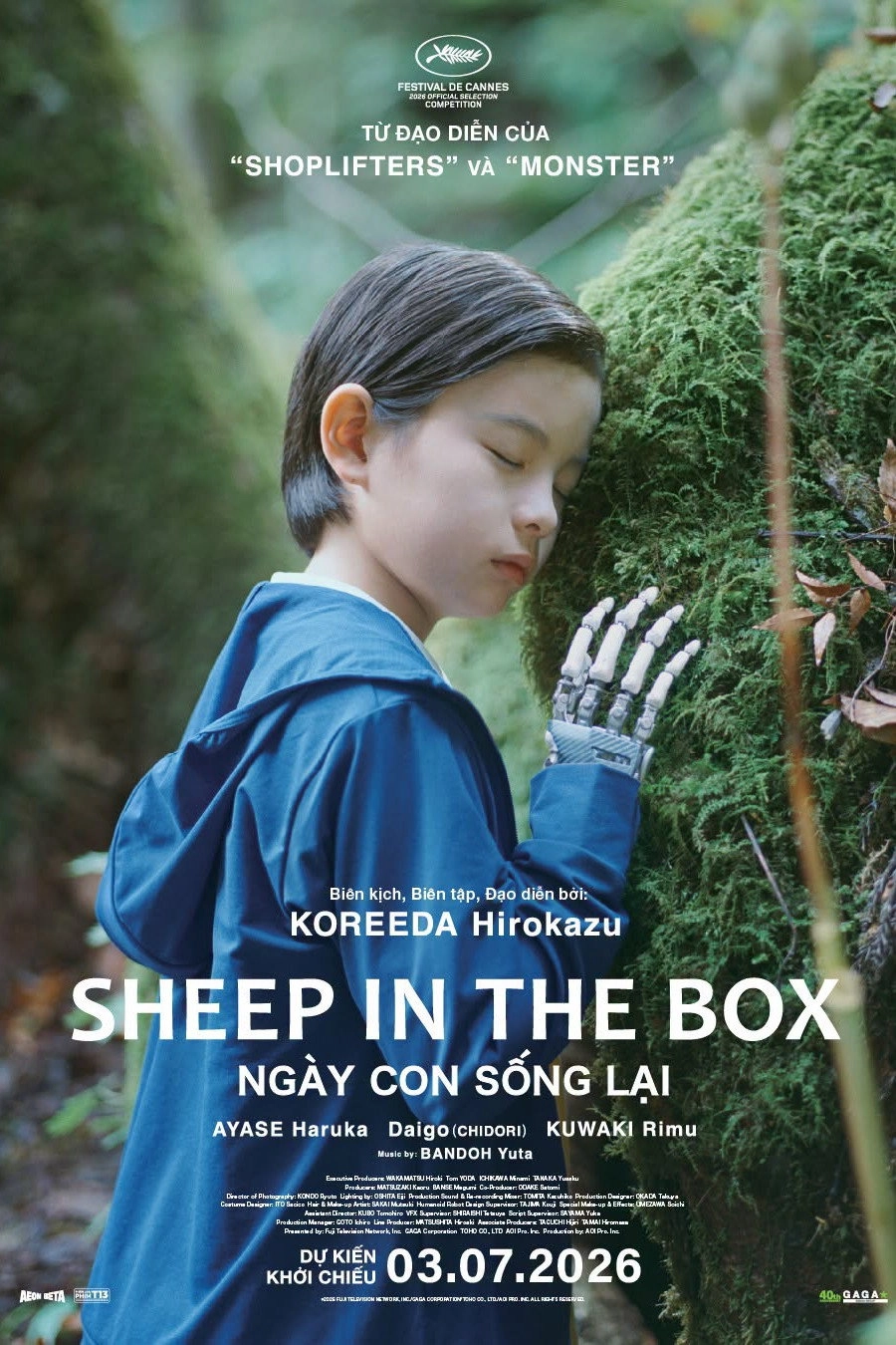 Sheep in the Box